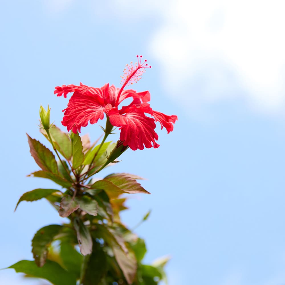 旅はリーズナブルなレンタカーで